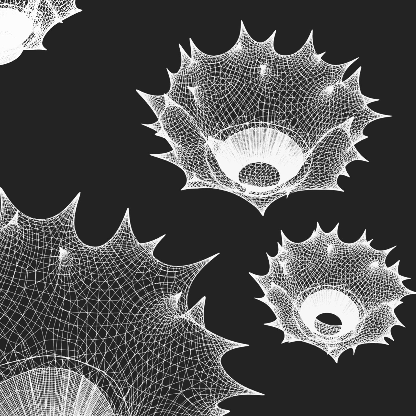 Signature Object — example