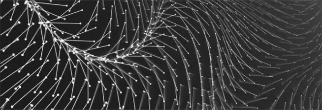 Abstract black and white generative waveform with fine points and lines
